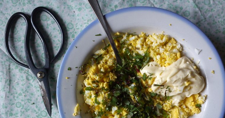 Onkruid proeven bij Lunch Lekker