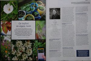 groenexpert in tuintijdschrift tuinseizoen