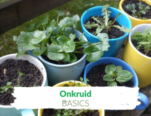 online onkruidcursus tuincursus giftcard Tuinschool Online