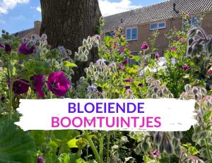 bloeiende boomspiegel tuincursus giftcard Tuinschool Online