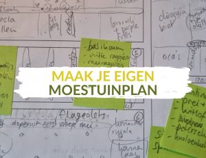 moestuinplan maken