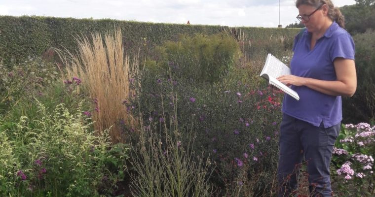 Privé les plantenkennis in eigen tuin