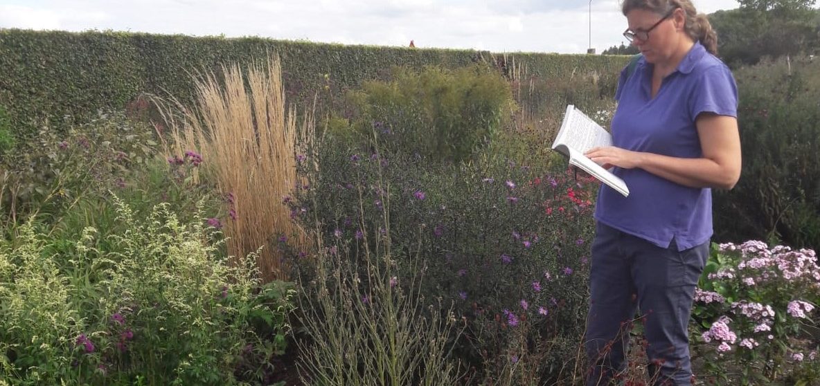Privé les plantenkennis in eigen tuin