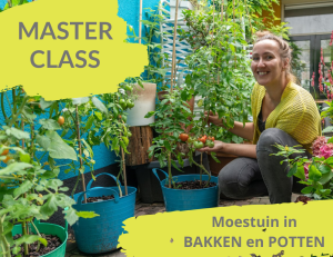 Moestuin in bakken en potten online masterclass