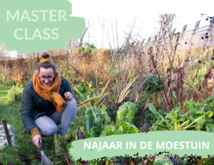 najaar in de moestuin