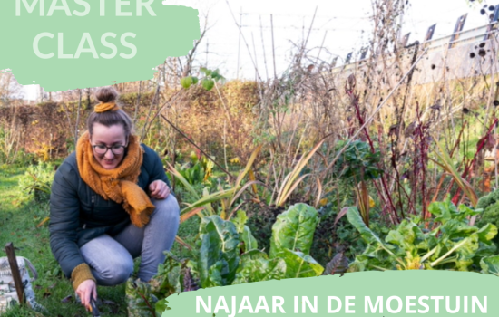 Najaar in de moestuin