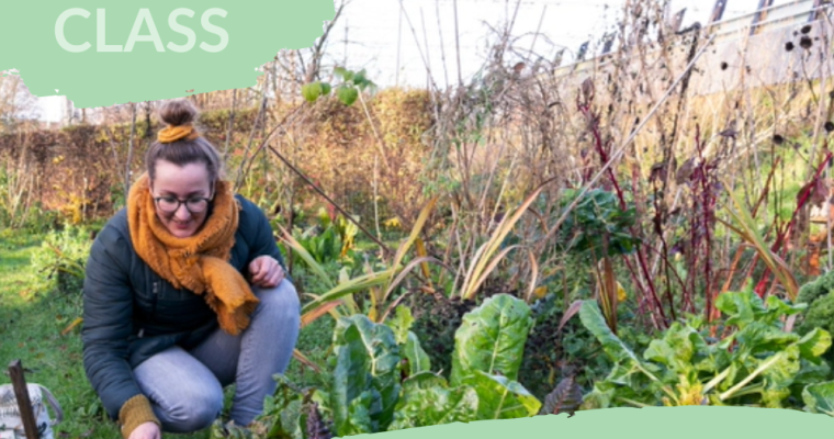 Najaar in de moestuin