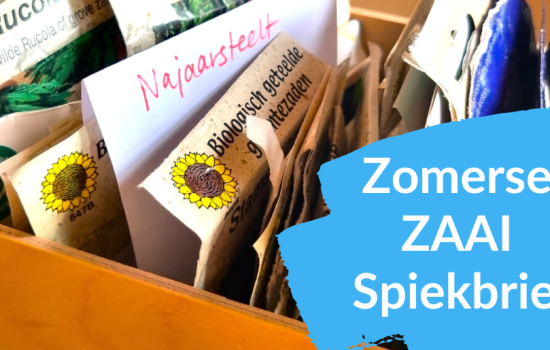 Zomerse zaai spiekbrief