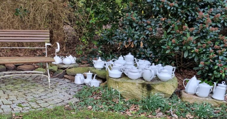 Onze nieuwsbrief: de Schoolkrant