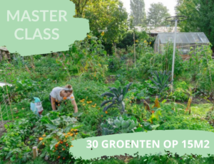 30 groente op 15 m2 meter