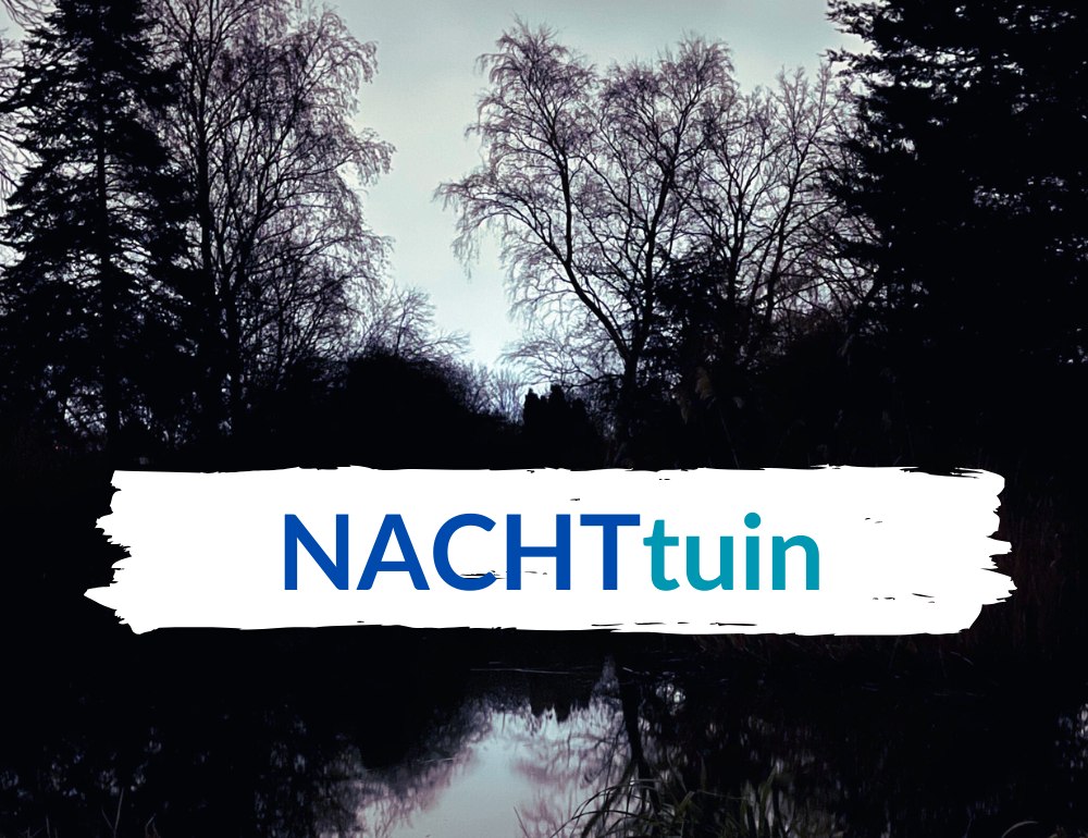 Biodiversiteit in de nacht